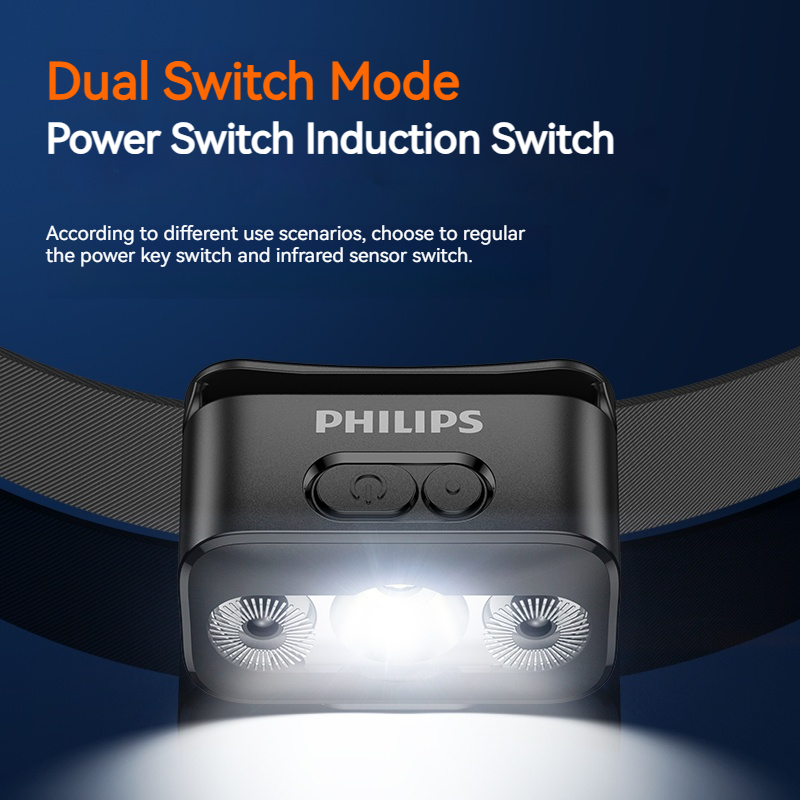 Philips Lampada frontale a LED - Outdoor Lighting Globes recensione e prezzo