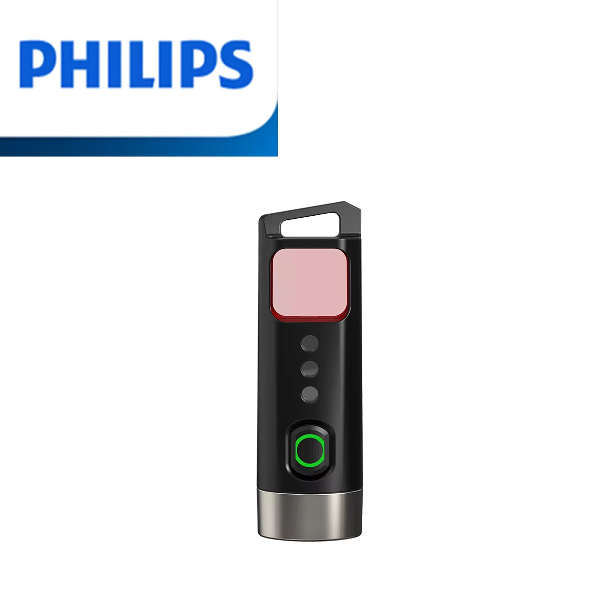 Philips Sfl 1121P Torcia Edc L - Outdoor Lighting Philips recensione e prezzo