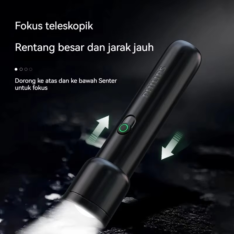 Philips Sfl 1123 Edc Torcia po - Outdoor Lighting Philips recensione e prezzo