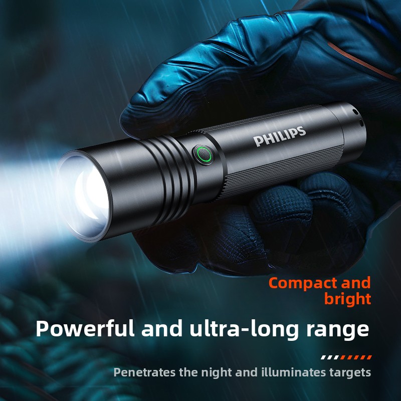 Home & Outdoor Torcia Philips  - Outdoor Lighting Philips recensione e prezzo