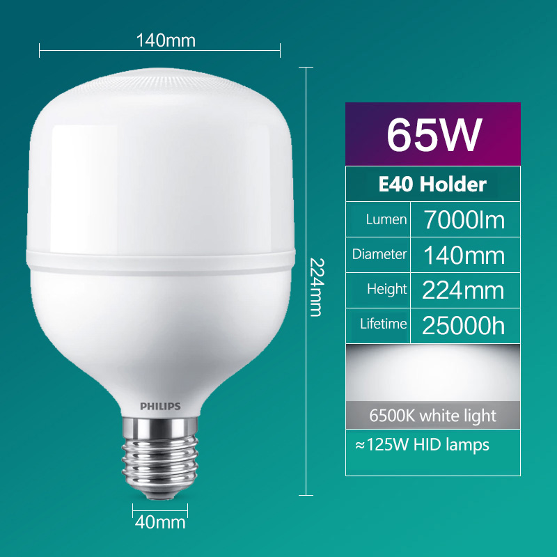 Philips LED T160 Lampadina E40 - Outdoor Lighting Philips recensione e prezzo