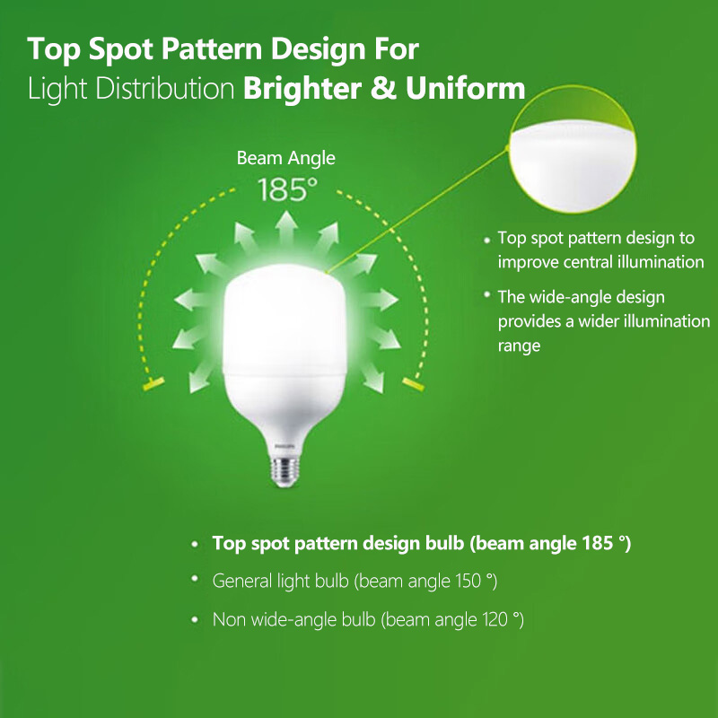Philips LED T160 Lampadina E40 - Outdoor Lighting Philips recensione e prezzo